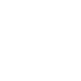 V Automotive