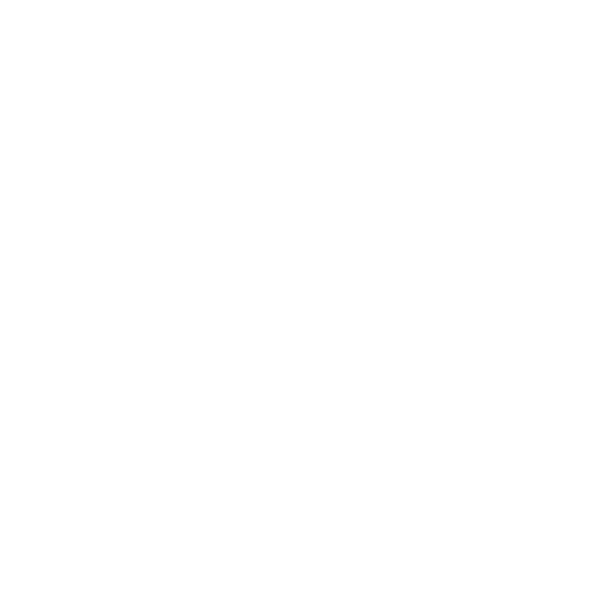 V Automotive